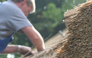 professional Treninnick thatchers