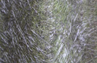 Treninnick fibreglass roof work